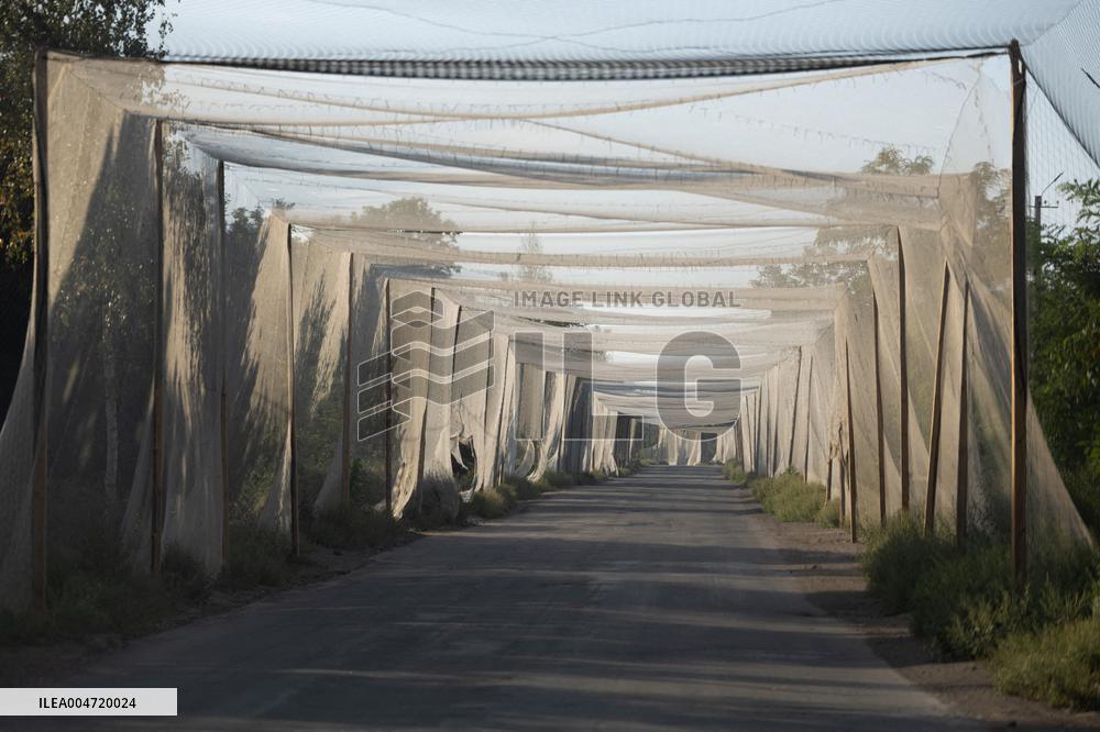 Anti-Drone Systems in Ukraine