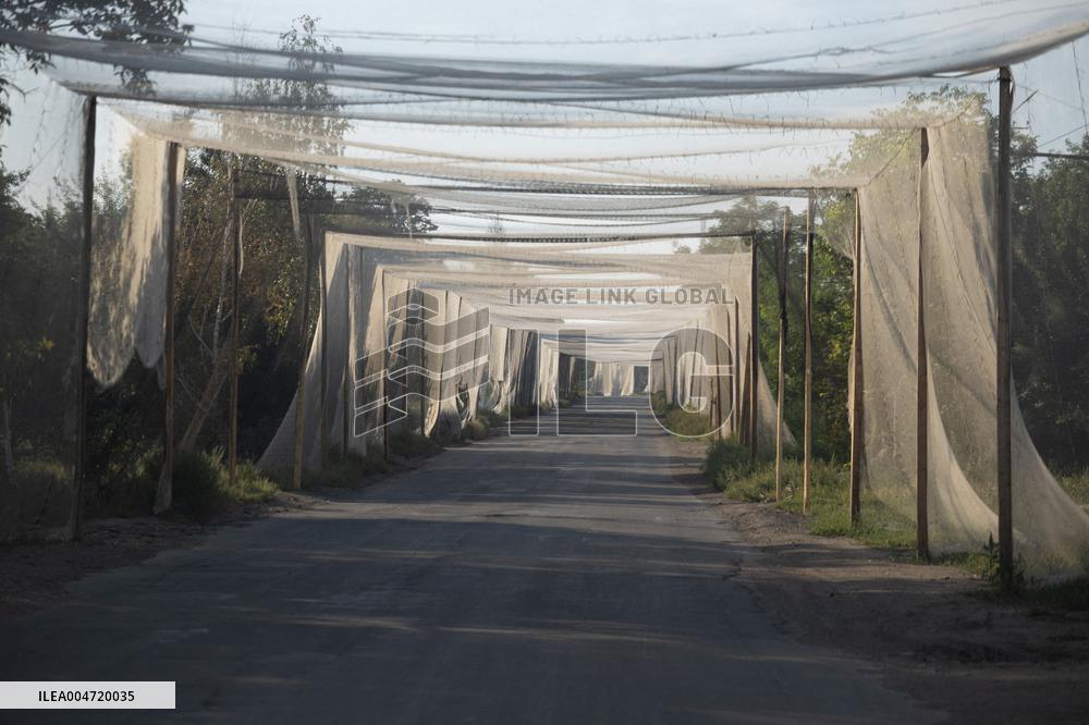 Anti-Drone Systems in Ukraine