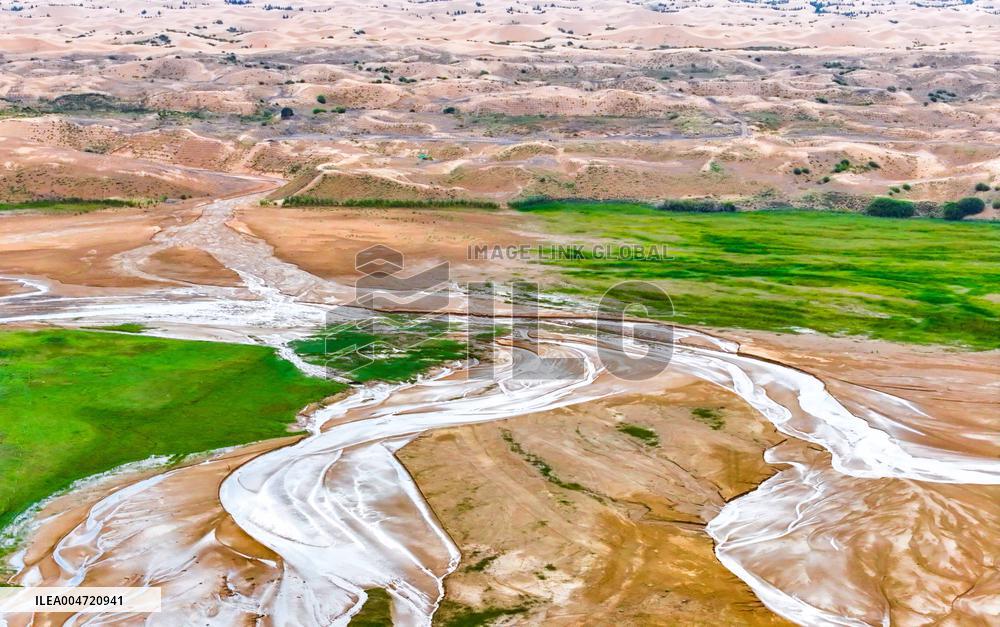 Sandy Area Ecosystem in Ordos