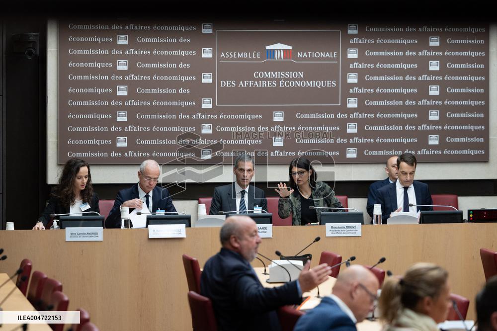 Hearing of Rodolphe Saade at the National Assembly - Paris