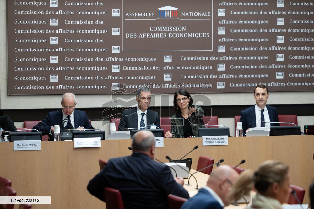 Hearing of Rodolphe Saade at the National Assembly - Paris