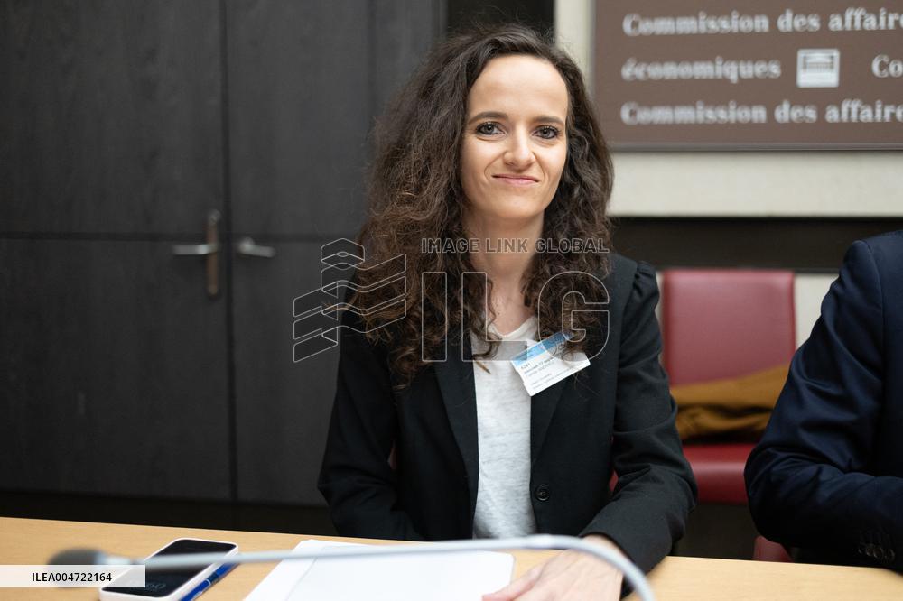 Hearing of Rodolphe Saade at the National Assembly - Paris