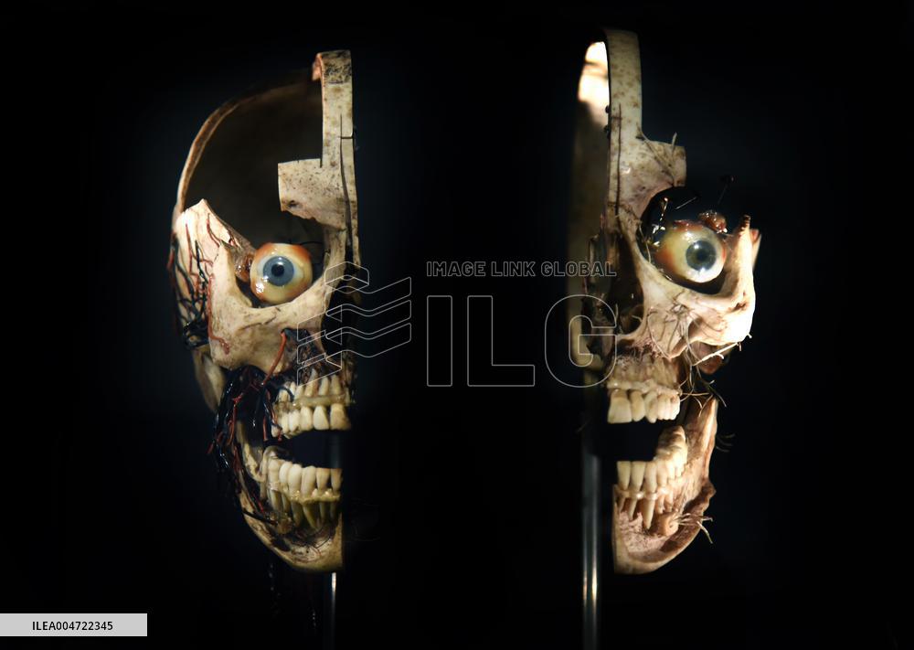 Museum of Mankind Celebrates 10th Anniversary - Paris