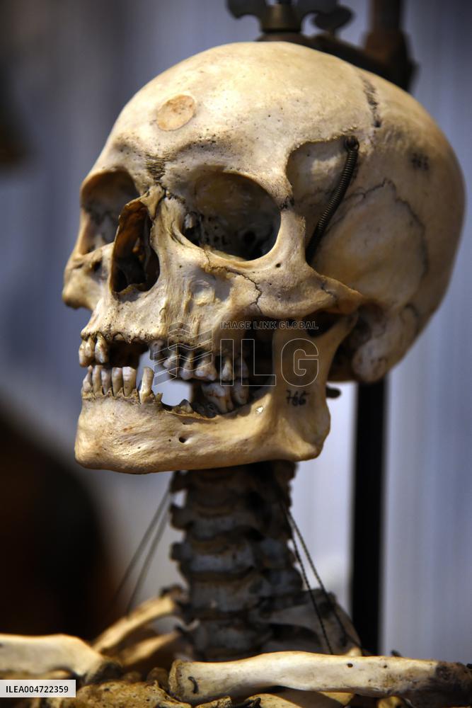 Museum of Mankind Celebrates 10th Anniversary - Paris