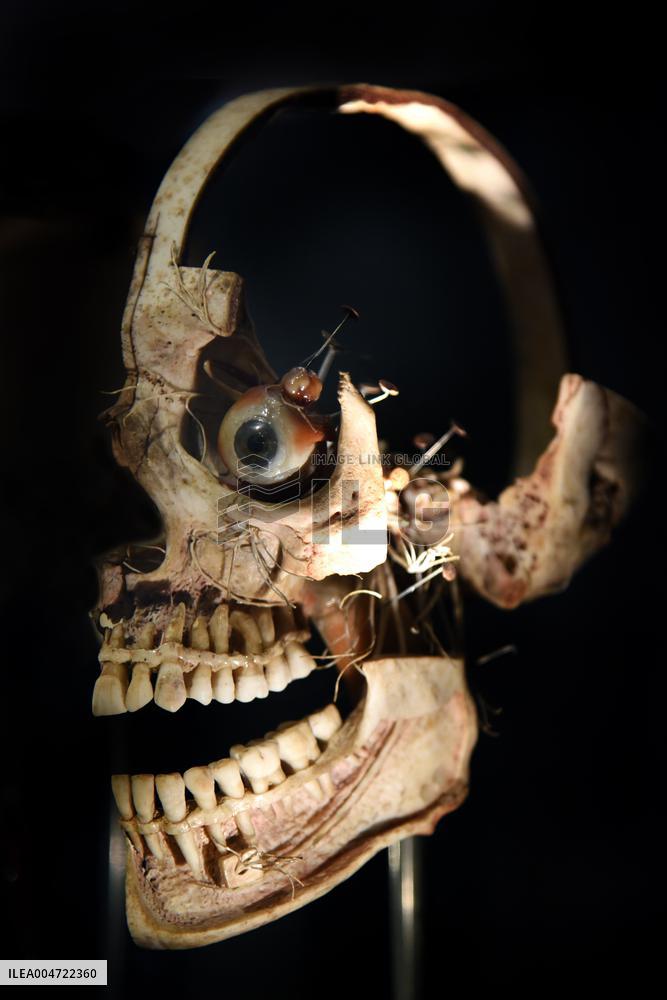 Museum of Mankind Celebrates 10th Anniversary - Paris