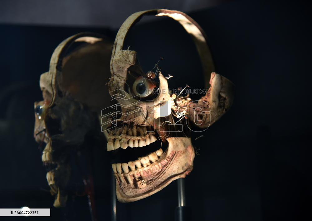 Museum of Mankind Celebrates 10th Anniversary - Paris