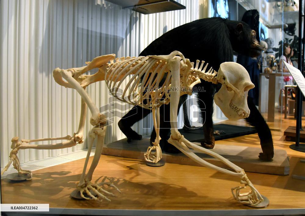 Museum of Mankind Celebrates 10th Anniversary - Paris