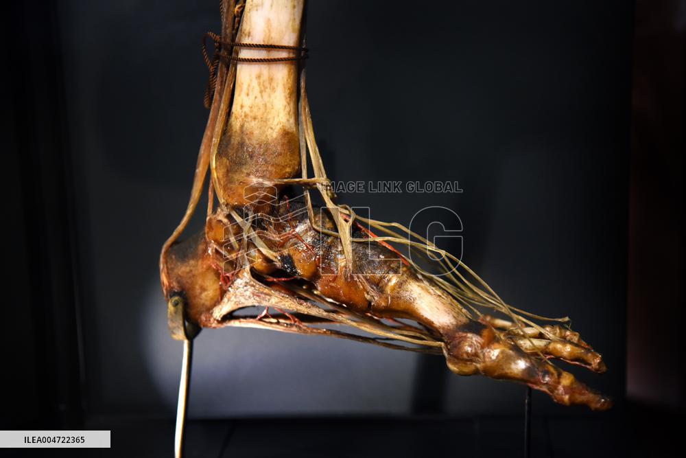 Museum of Mankind Celebrates 10th Anniversary - Paris