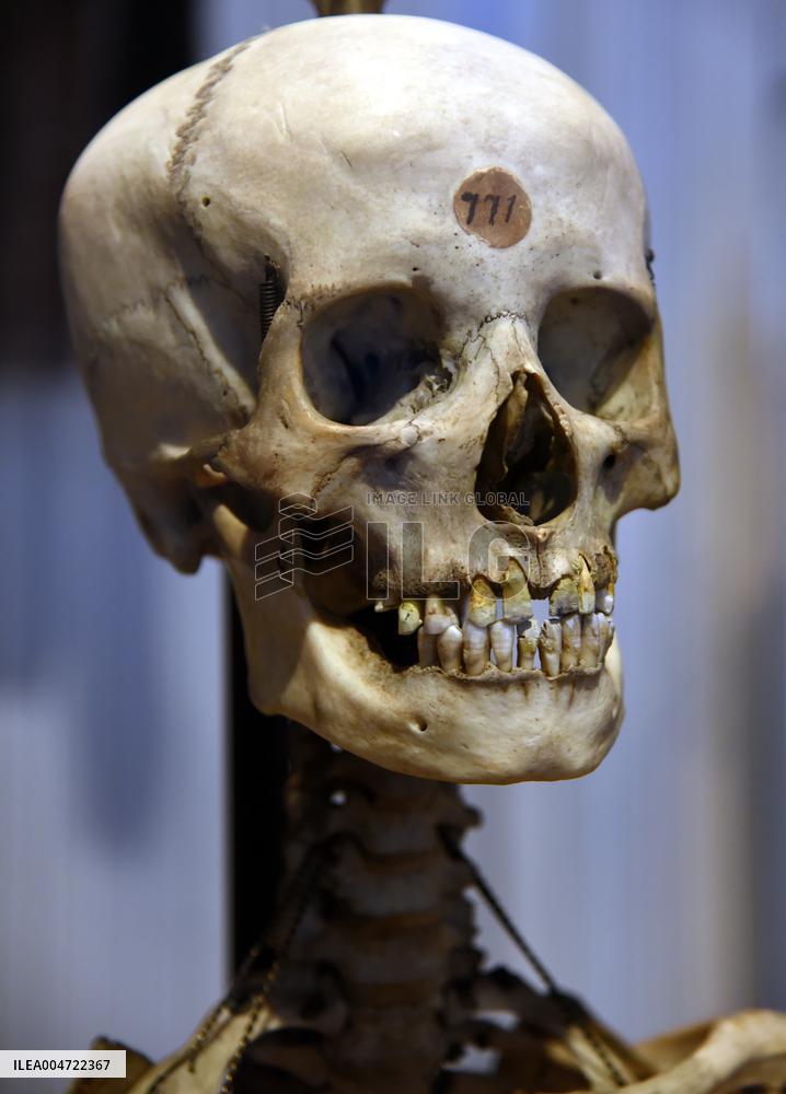 Museum of Mankind Celebrates 10th Anniversary - Paris