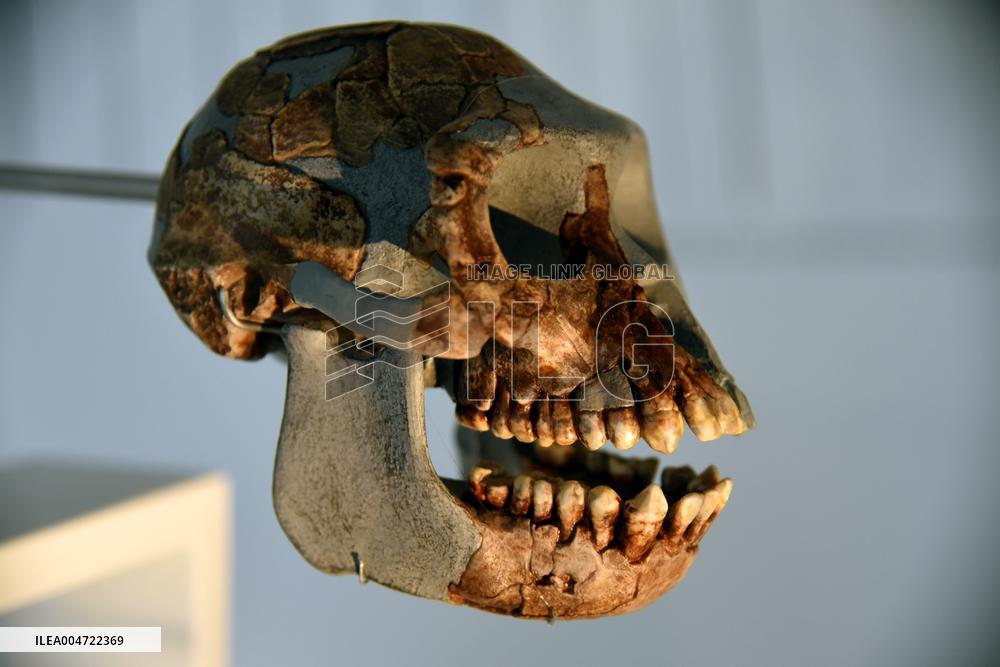 Museum of Mankind Celebrates 10th Anniversary - Paris