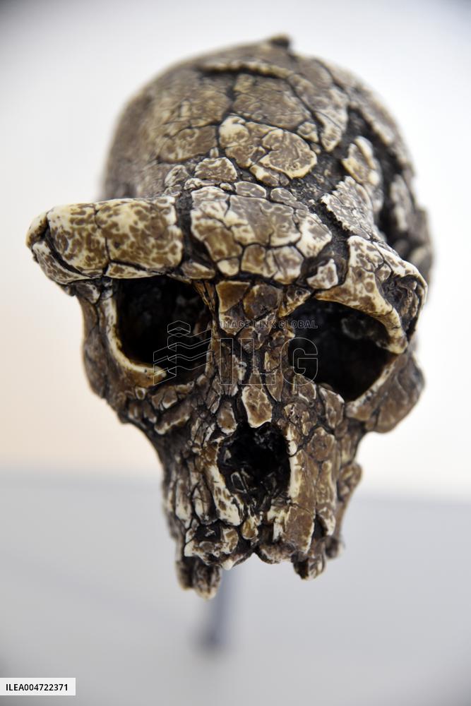 Museum of Mankind Celebrates 10th Anniversary - Paris