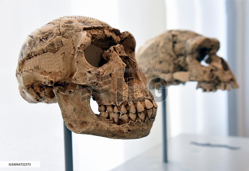 Museum of Mankind Celebrates 10th Anniversary - Paris