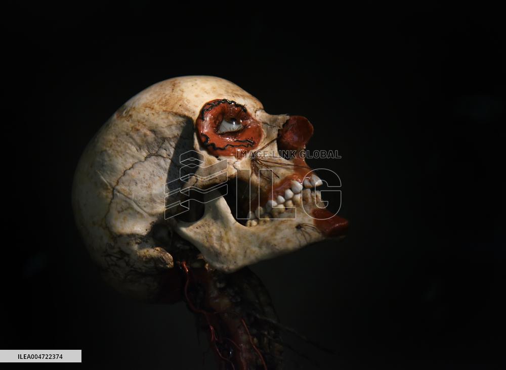 Museum of Mankind Celebrates 10th Anniversary - Paris