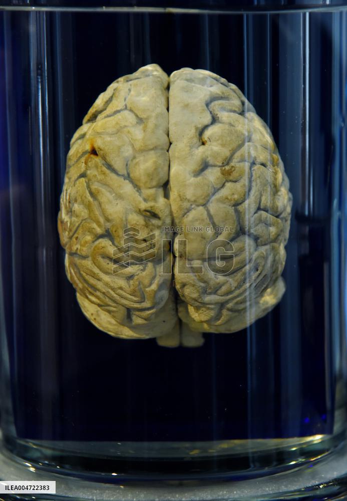 Museum of Mankind Celebrates 10th Anniversary - Paris