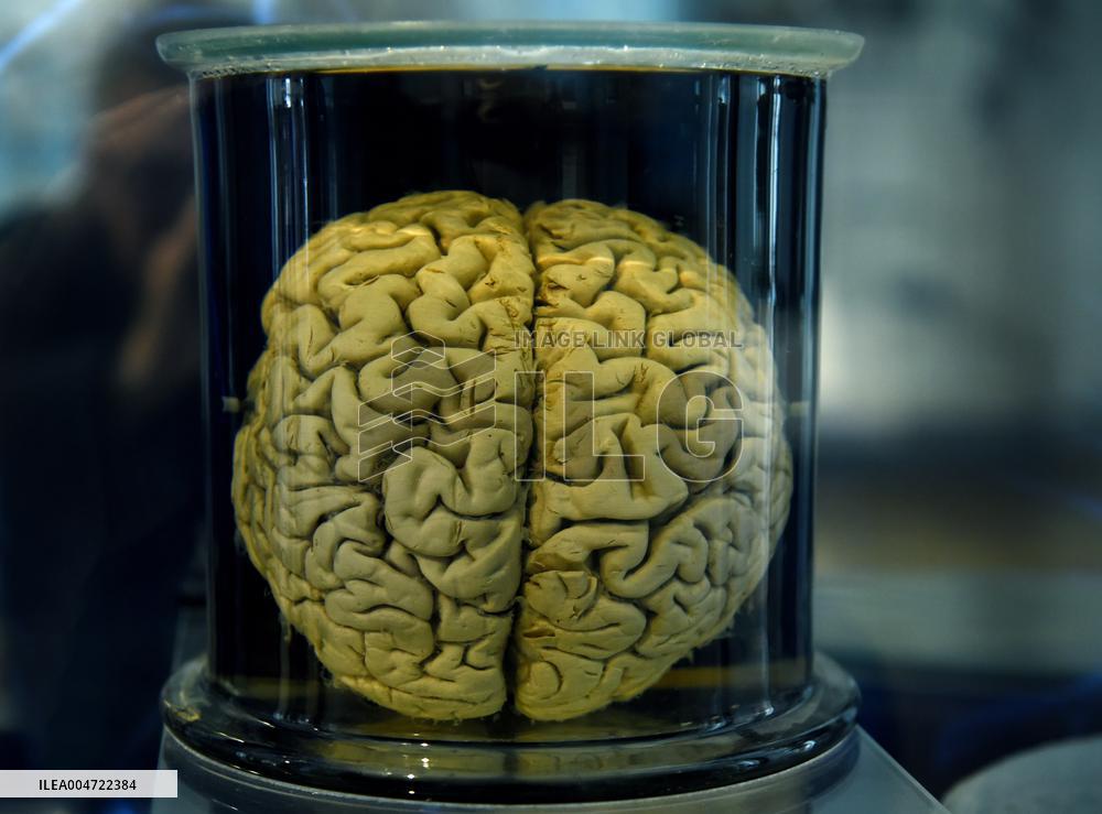 Museum of Mankind Celebrates 10th Anniversary - Paris