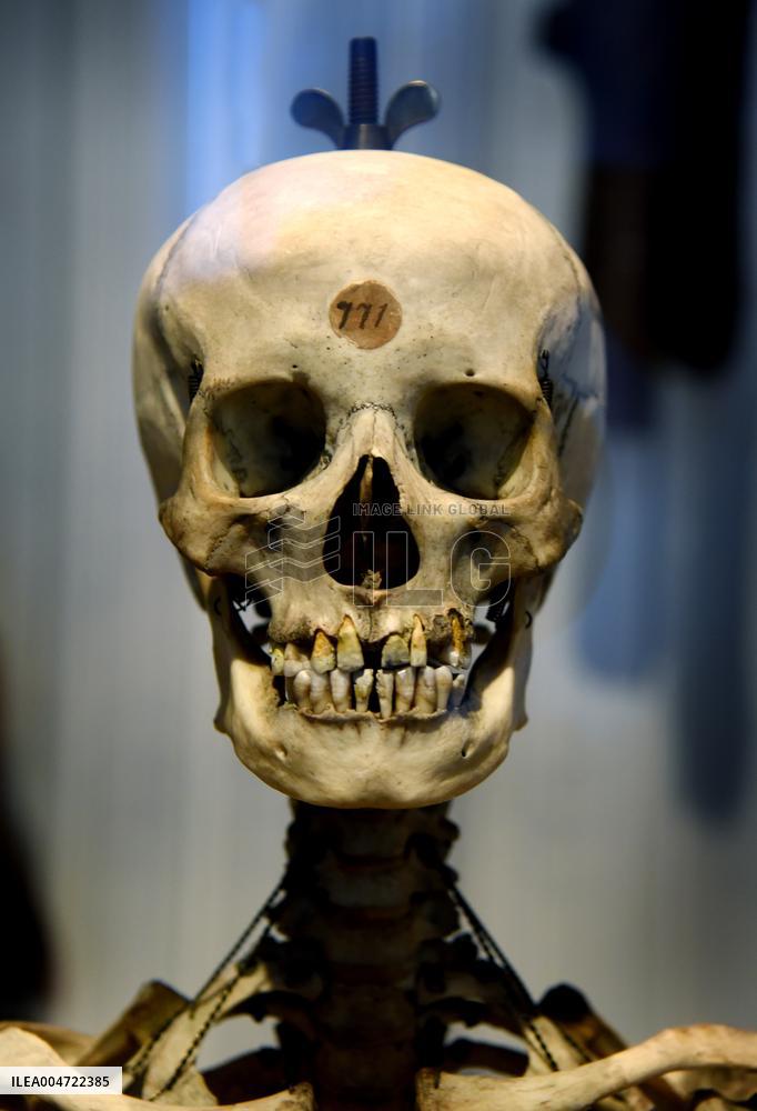 Museum of Mankind Celebrates 10th Anniversary - Paris