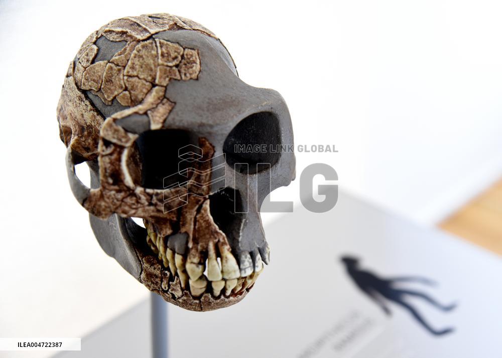 Museum of Mankind Celebrates 10th Anniversary - Paris