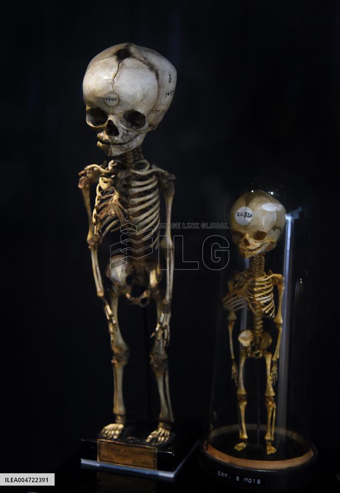 Museum of Mankind Celebrates 10th Anniversary - Paris