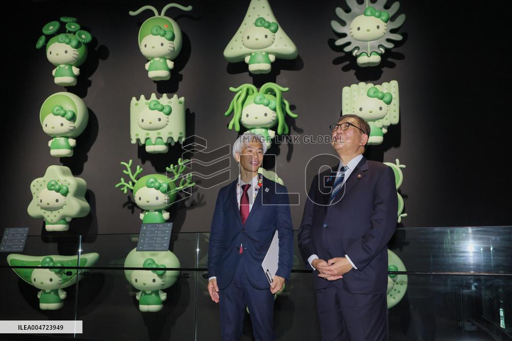 World Exposition in Osaka