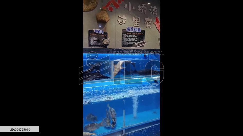 China: Fish in Supermarket Tank Resembles Human Face