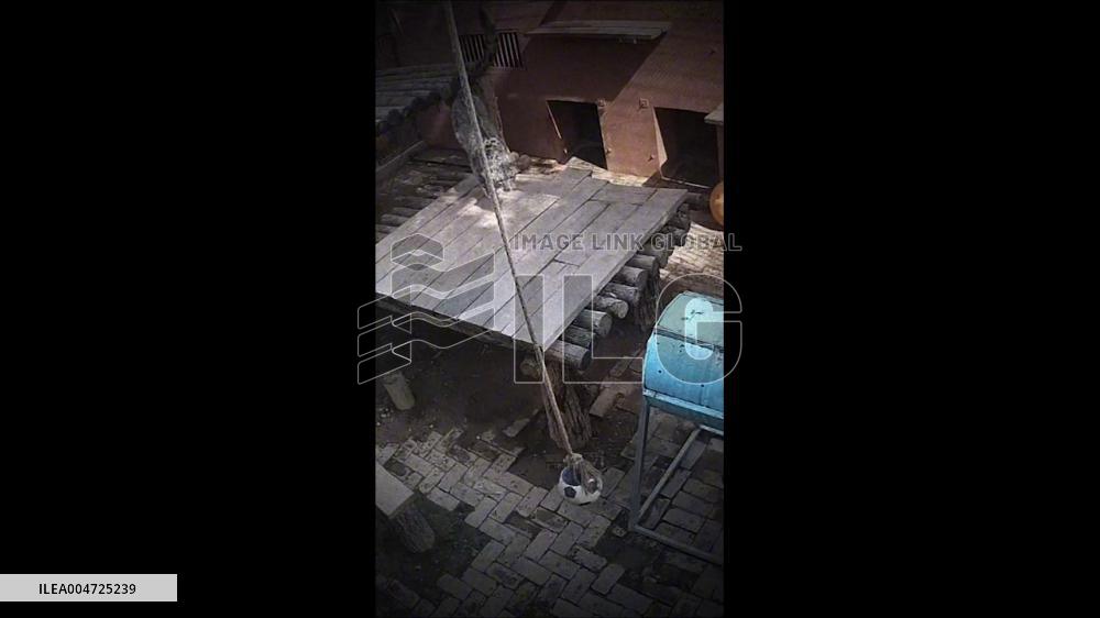 China: Playful Snow Leopard Stands and Twirls with Soccer Ball in Qinghai