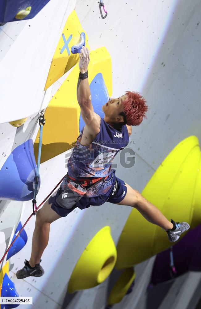 Sport climbing: World championships