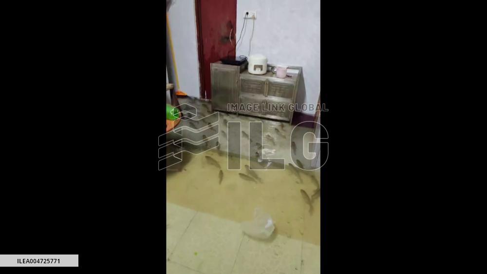 China: Fish Swim Inside Flooded Home Amid Typhoon Wipha
