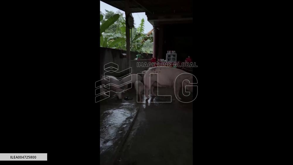 Vietnam: At Least 13 Dead as Typhoon Bualoi Makes Landfall in Central Coast 2