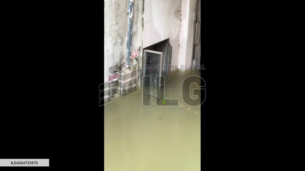 China: Rat Tries to Survive From Flood After Super Typhoon Ragasa in Macau