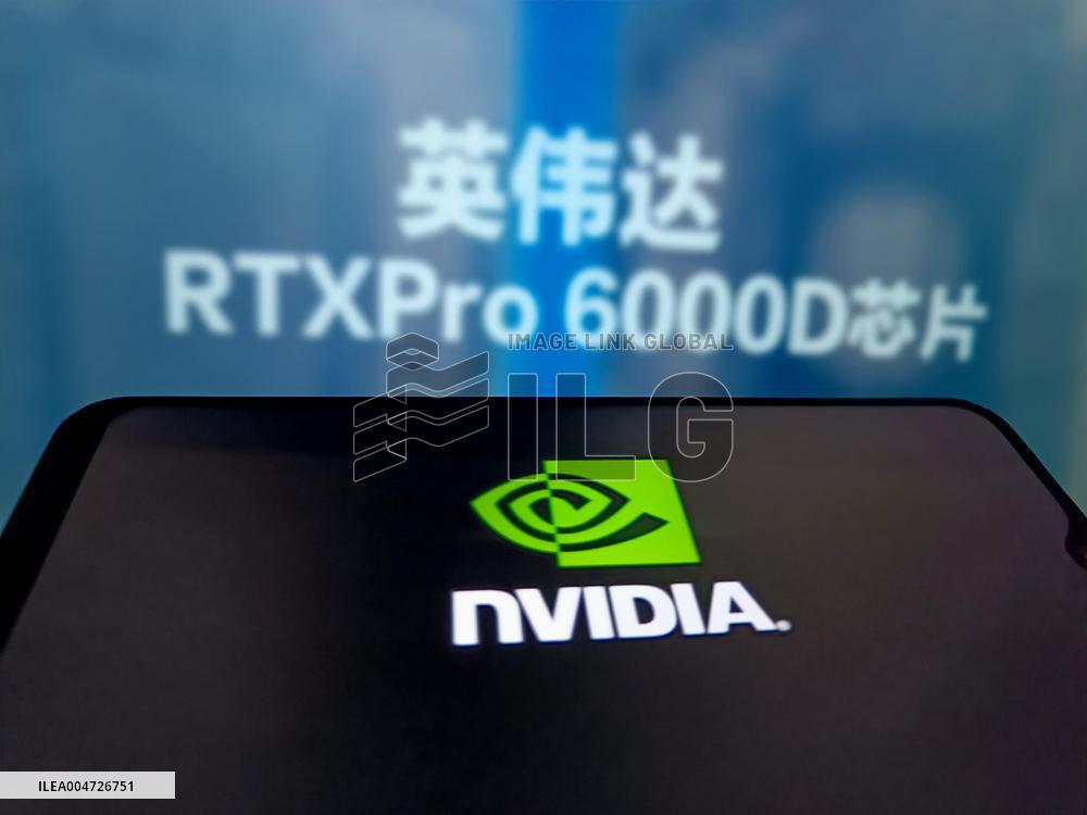 Illustration NVIDIA RTX Pro 6000D Chip