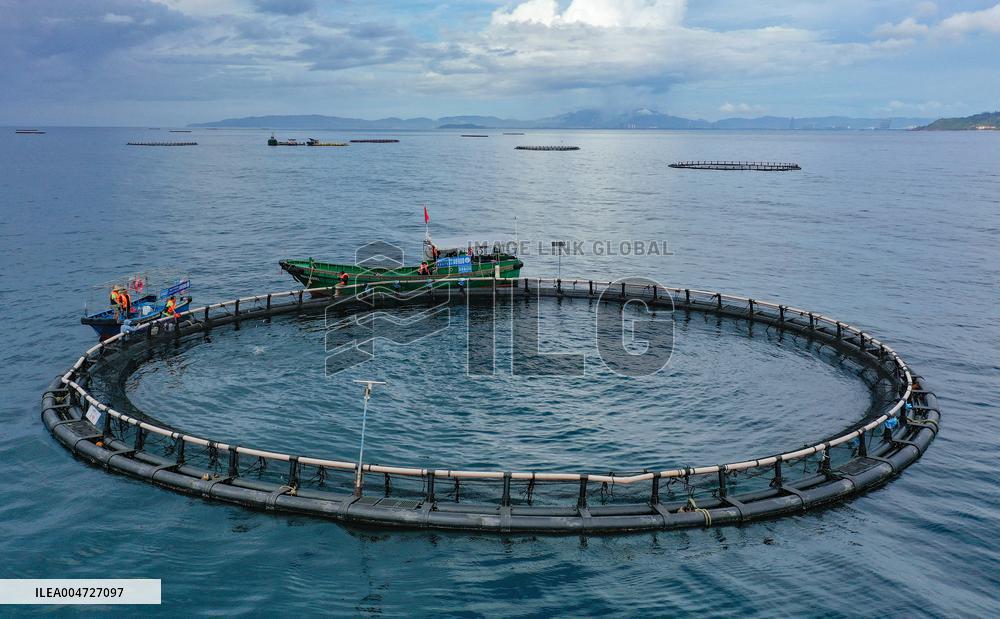 Offshore Yellowfin Tuna Breeding Base - China