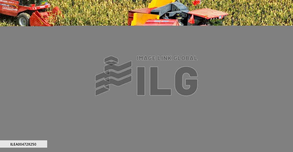 Seed Corn Planting Base in Zhangye