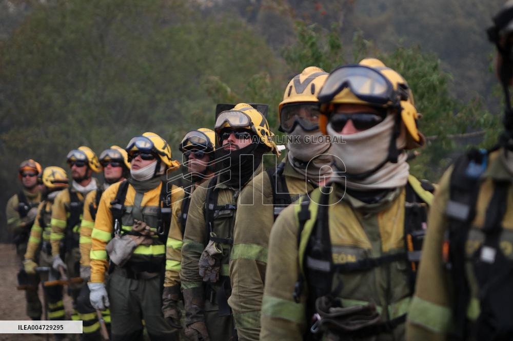 Forest Fire In Panton - Spain
