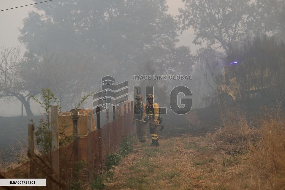 Forest Fire In Panton - Spain