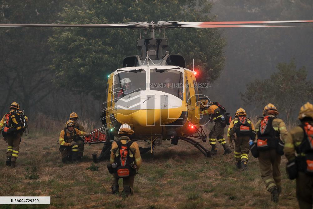 Forest Fire In Panton - Spain