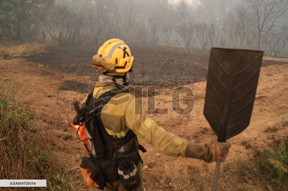 Forest Fire In Panton - Spain