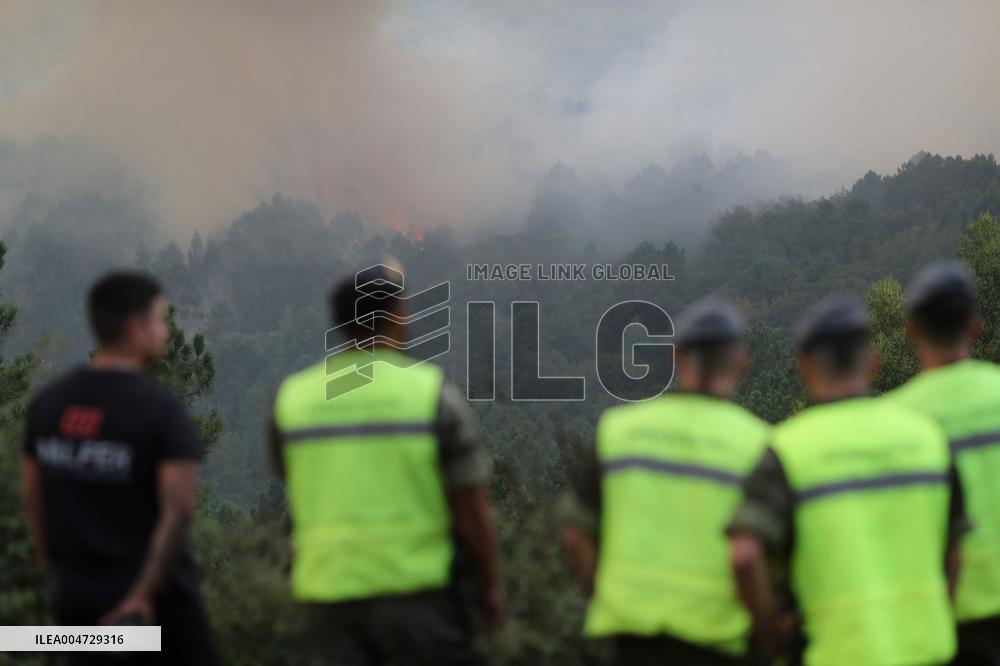 Forest Fire In Panton - Spain
