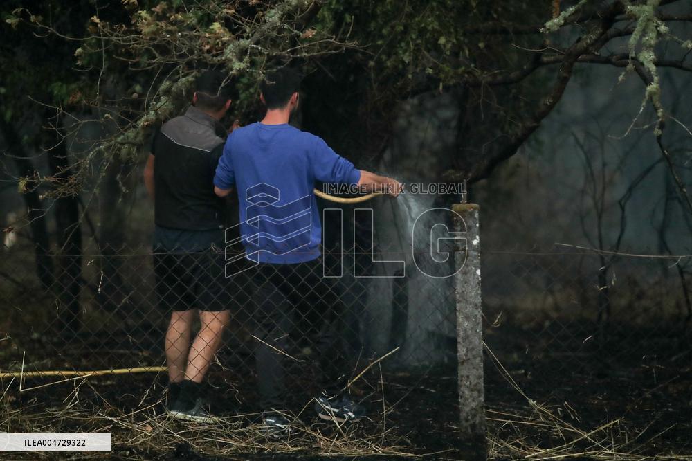 Forest Fire In Panton - Spain