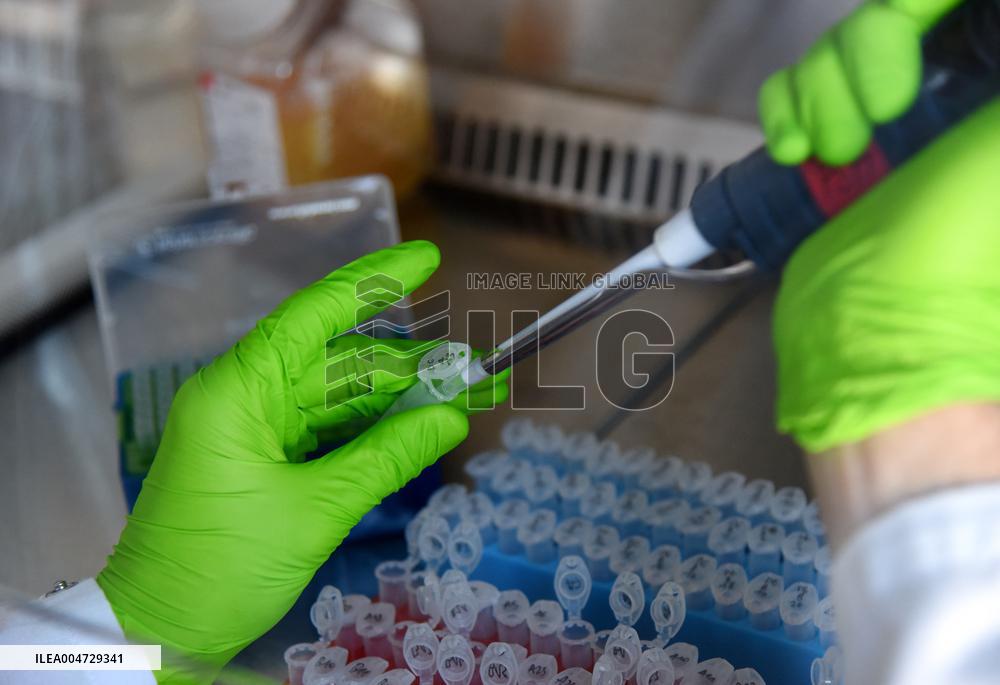 Pasteur Institute - Paris