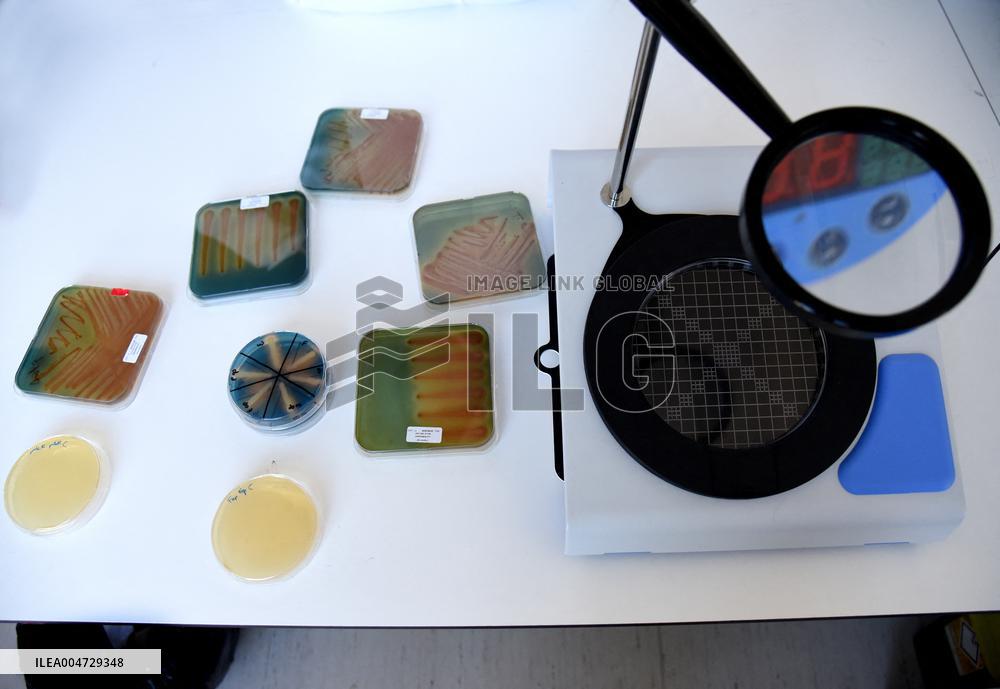 Pasteur Institute - Paris