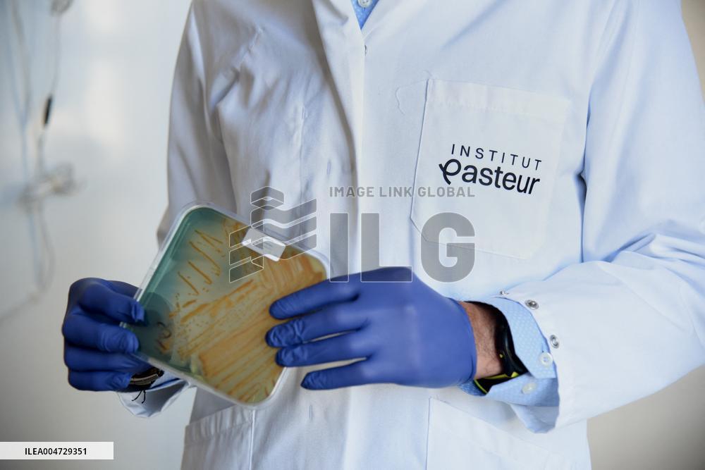 Pasteur Institute - Paris