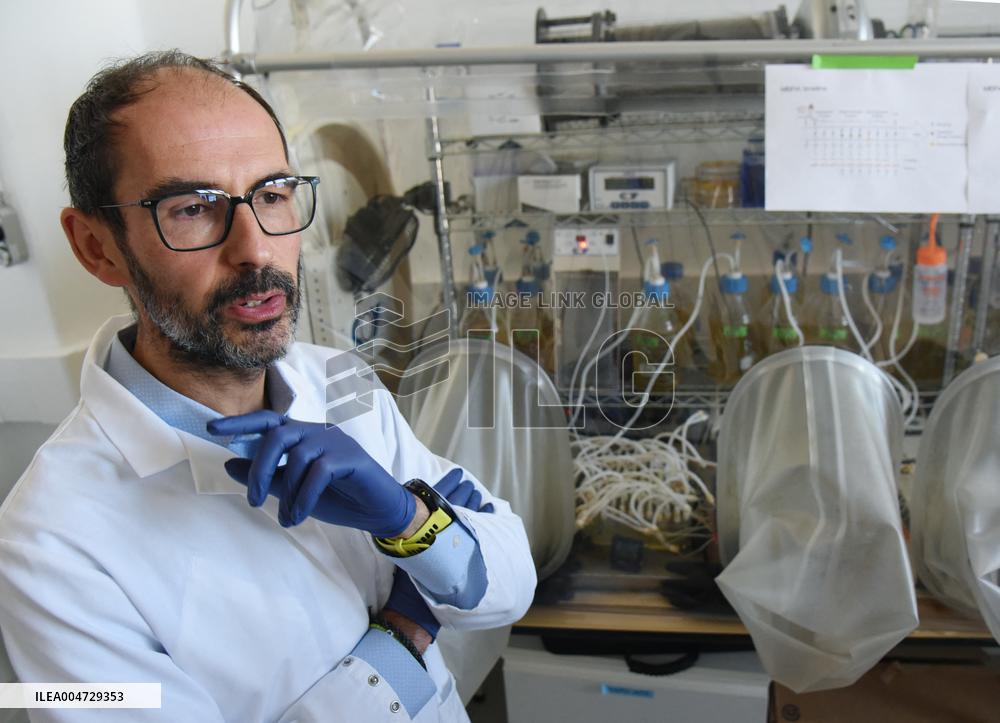 Pasteur Institute - Paris