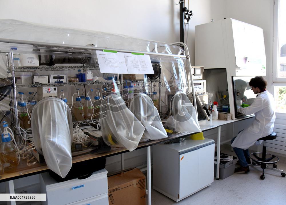 Pasteur Institute - Paris