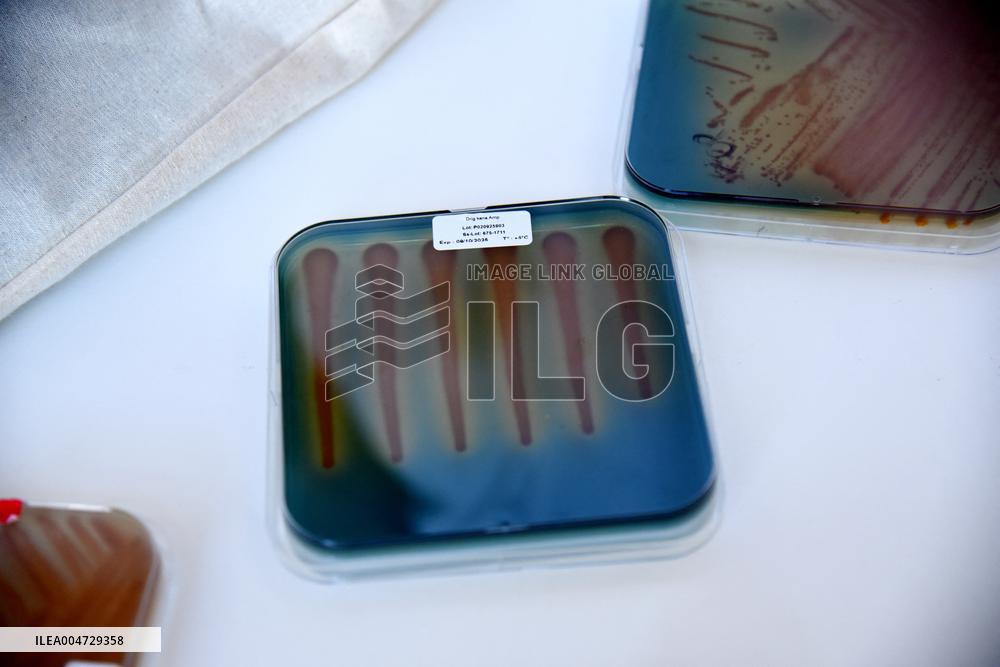 Pasteur Institute - Paris