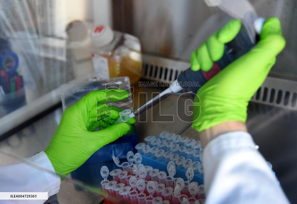 Pasteur Institute - Paris