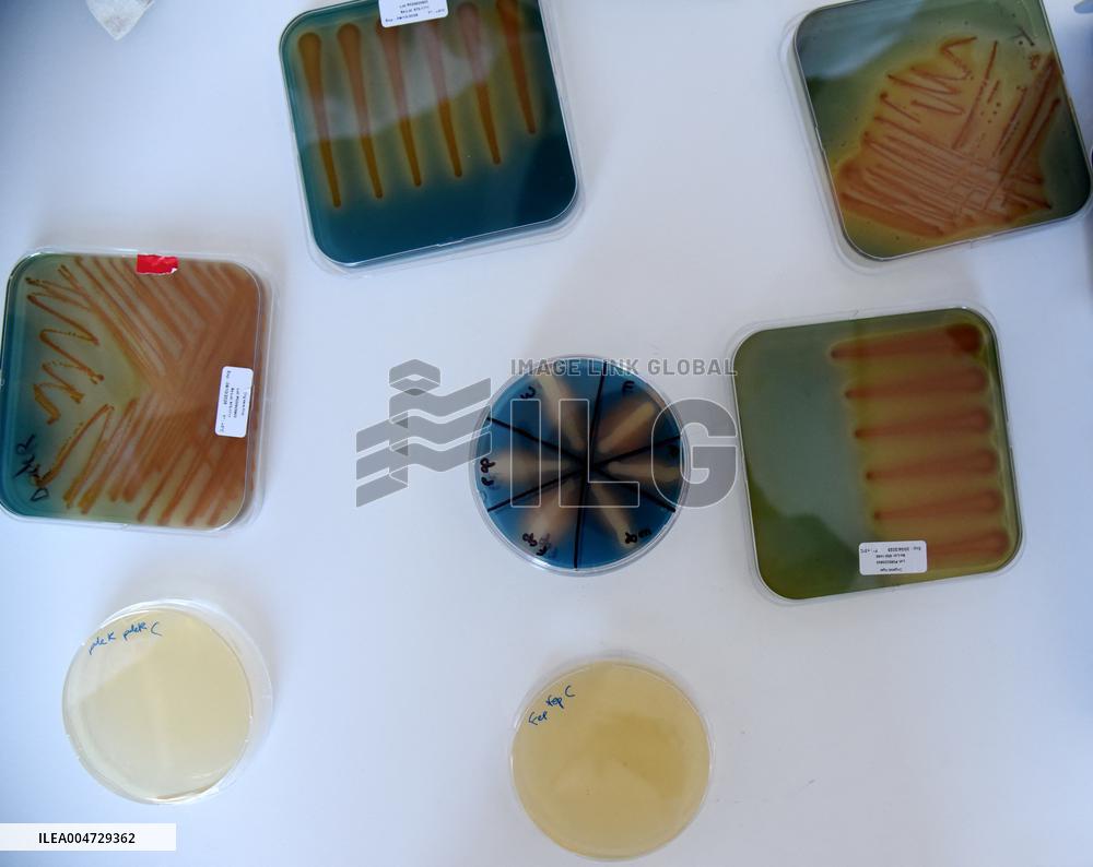 Pasteur Institute - Paris