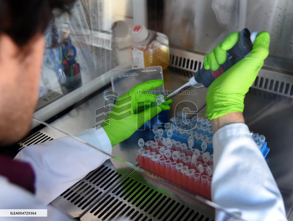 Pasteur Institute - Paris