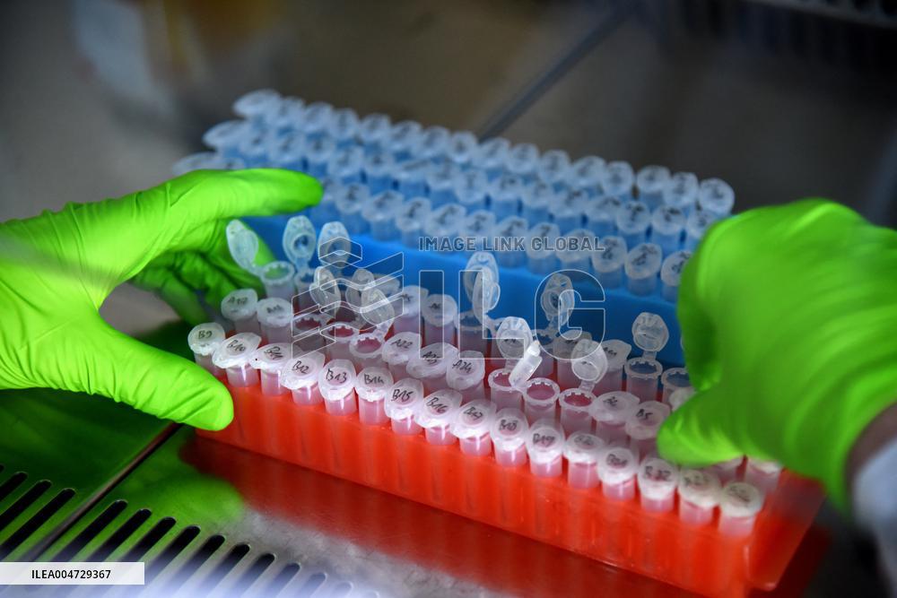 Pasteur Institute - Paris