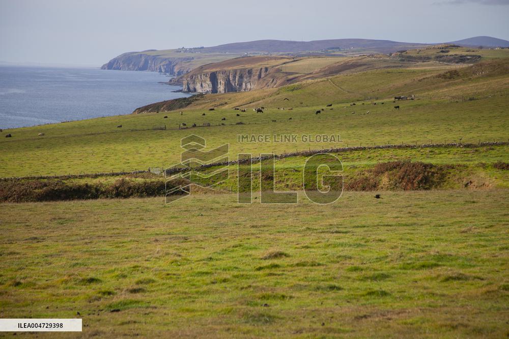 Illustration Scotland Landscape