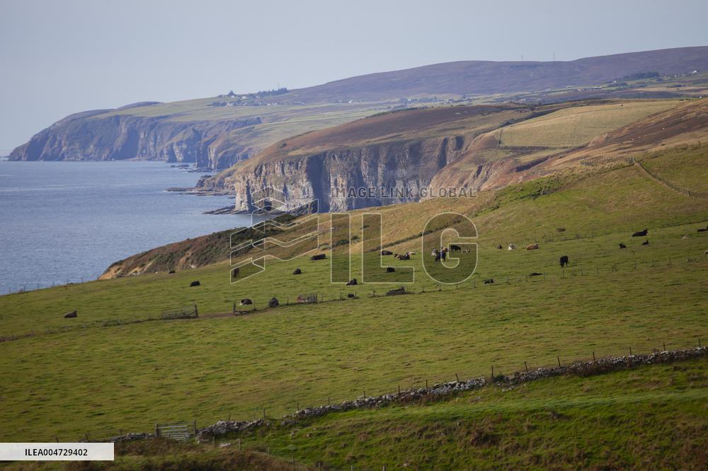 Illustration Scotland Landscape